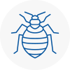 Bed Bug Extermination In Leyland